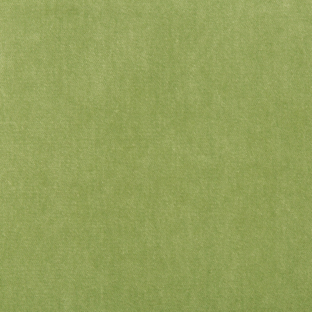 33299-303 by Kravet Basics Fabric - POLYESTER - 75%;COTTON - 25% China HEAVY Horizontal: - and Vertical: - 54 - Fabric Carolina -