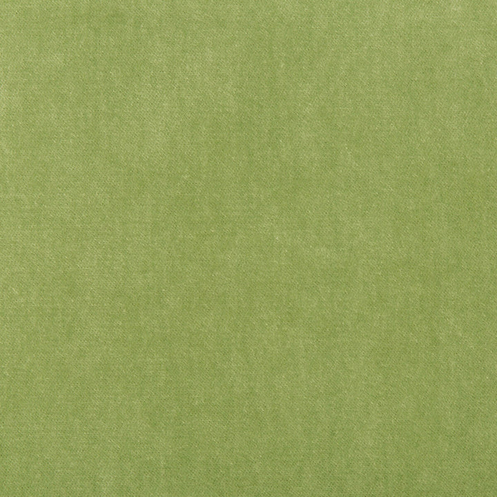 33299-303 by Kravet Basics Fabric POLYESTER - 75%;COTTON - 25% China HEAVY Horizontal: and Vertical: 54 - Fabric Carolina -
