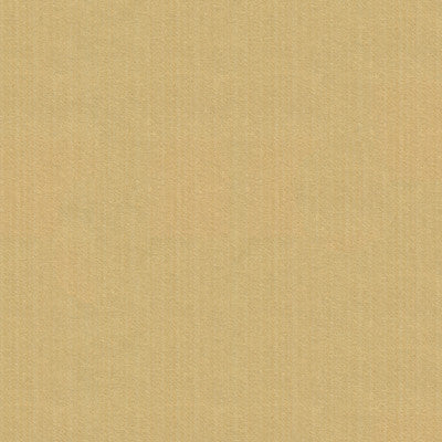 Kravet Smart 33345-1111 by Kravet Smart Fabric