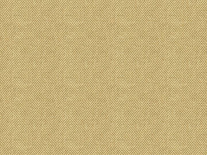 33349-1116 by Kravet Smart Designer Fabric GIS COTTON - 51%;POLYESTER - 49% United States HEAVY Horizontal: 2.5 and Vertical: 2.5 57 - Swanky Fabrics -