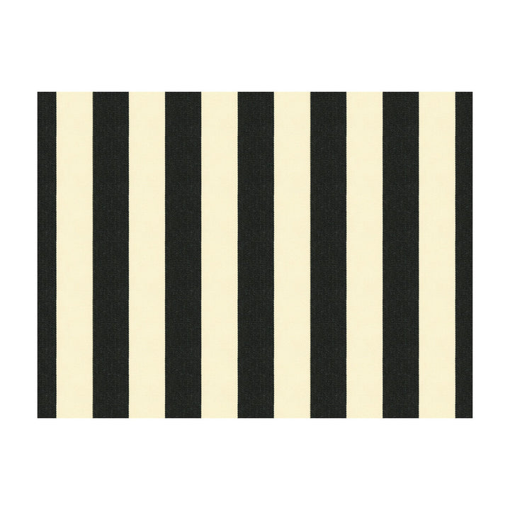 33354-81 by Kravet Smart Fabric SOLEIL COLLECTION POLYESTER - 100% United States HEAVY Horizontal: 3.5 and Vertical: - 54 - Fabric Carolina -
