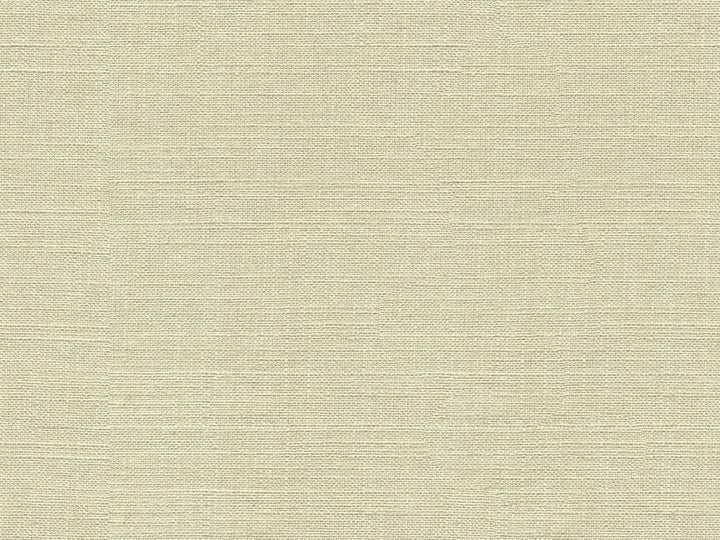 33401-1111 by Kravet Smart Fabric GIS VISCOSE - 80%;LINEN - 20% China HEAVY Horizontal: and Vertical: 55 - Fabric Carolina -