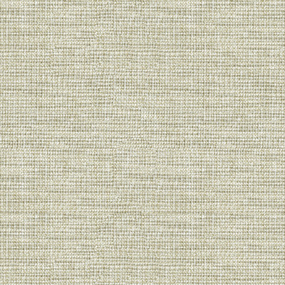 Standford Pewter by Kravet Basics Fabric