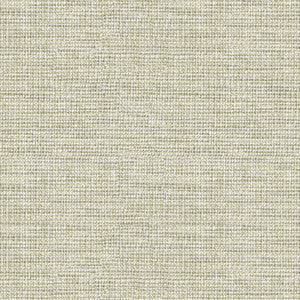 Standford Pewter by Kravet Basics Fabric