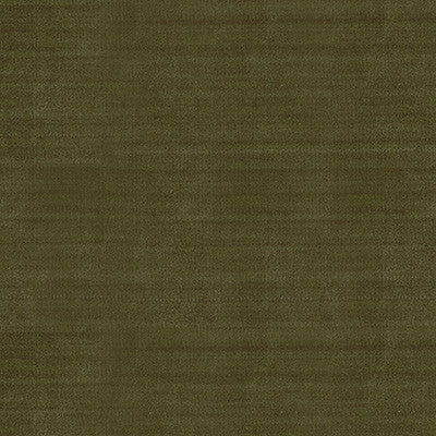 York Velvet Olive by Kravet Couture Fabric