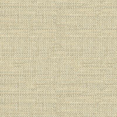 Do The Hustle Glacier by Kravet Couture Fabric