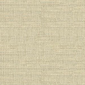Do The Hustle Glacier by Kravet Couture Fabric