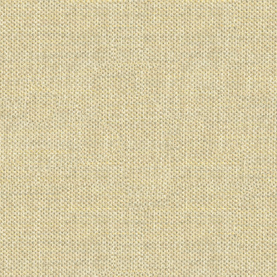 Do The Hustle Platinum by Kravet Couture Fabric