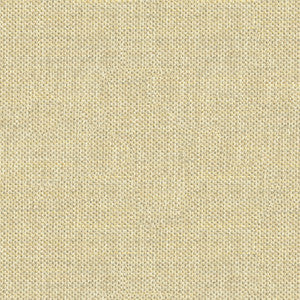 Do The Hustle Platinum by Kravet Couture Fabric