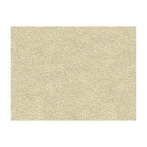 Shagreen Luxury Platinum by Kravet Couture Fabric