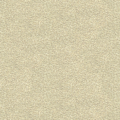 Shagreen Luxury Platinum by Kravet Couture Fabric