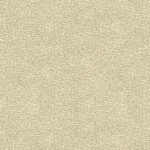 Shagreen Luxury Platinum by Kravet Couture Fabric