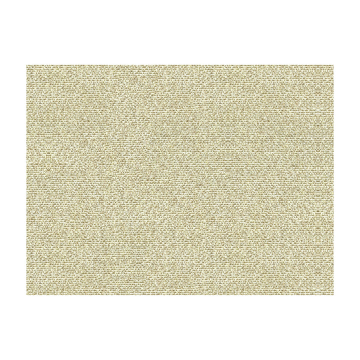 Salt Flats Oyster by Kravet Couture Fabric MICHAEL BERMAN II COLLECTION VISCOSE - 78%;POLYESTER - 22% Belgium HEAVY Horizontal: and Vertical: 55 - Fabric Carolina -