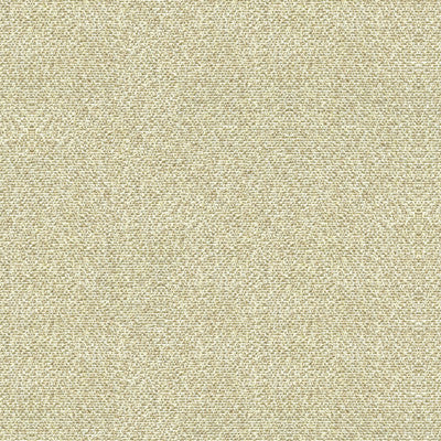 Salt Flats Oyster by Kravet Couture Fabric