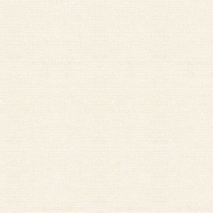 Cover Salt by Kravet Design Fabric