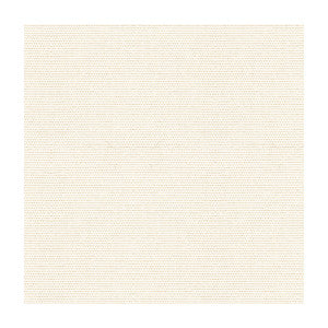 Cover Salt by Kravet Design Fabric