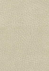 Brisa Distressed Putty 335-3021 by Schumacher Fabric