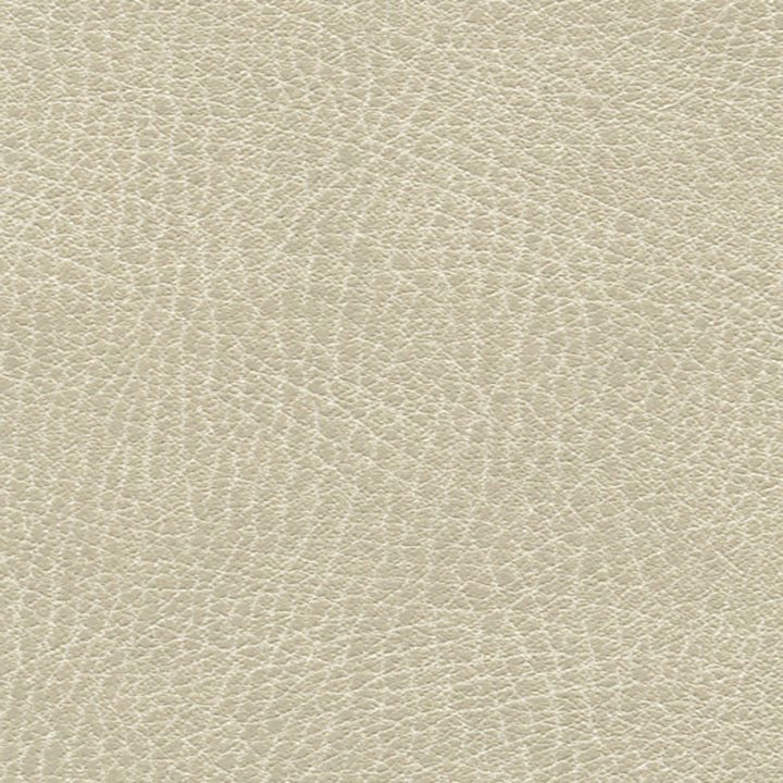 Brisa Distressed Putty 335-3021 by Schumacher Fabric ULTRALEATHER See Sample JAPAN HEAVY DUTY </p><p>Repeat: Horizontal: - and Vertical: - 54" WIDE (137CM) - Fabric Carolina -