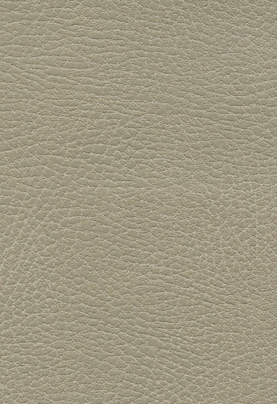 Brisa Distressed Dune 335-3869 by Schumacher Fabric Ultraleather 100% Polyurethane Wyzenbeek 200,000 Horizontal: - and Vertical: - 54 - Fabric Carolina -
