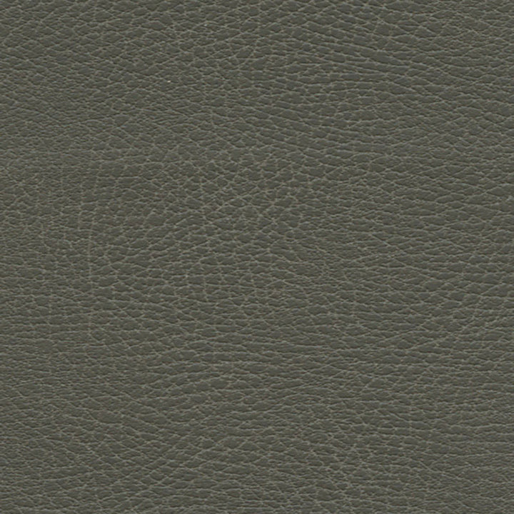 Brisa Distressed Elephant 335-3870 by Schumacher Fabric ULTRALEATHER See Sample JAPAN HEAVY DUTY </p><p>Repeat: Horizontal: - and Vertical: - 54" WIDE (137CM) - Fabric Carolina -