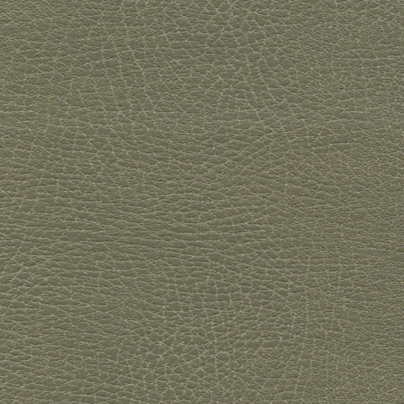 Brisa Distressed Prairie 335-4512 by Schumacher Fabric ULTRALEATHER See Sample JAPAN HEAVY DUTY </p><p>Repeat: Horizontal: - and Vertical: - 54" WIDE (137CM) - Fabric Carolina -