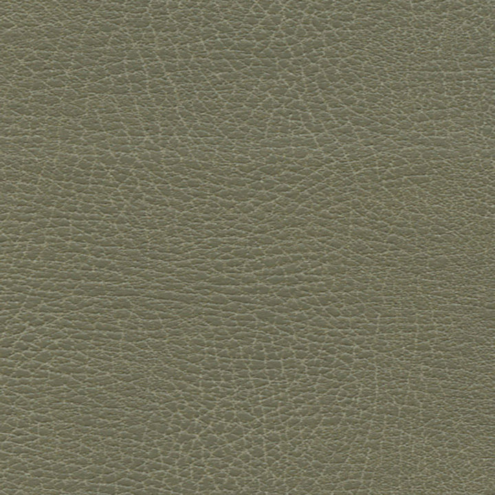 Brisa Distressed Prairie 335-4512 by Schumacher Fabric ULTRALEATHER See Sample JAPAN HEAVY DUTY </p><p>Repeat: Horizontal: - and Vertical: - 54" WIDE (137CM) - Fabric Carolina -