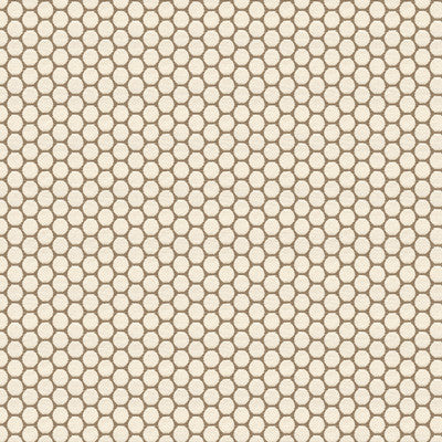 Encircle Coconut by Kravet Design Fabric