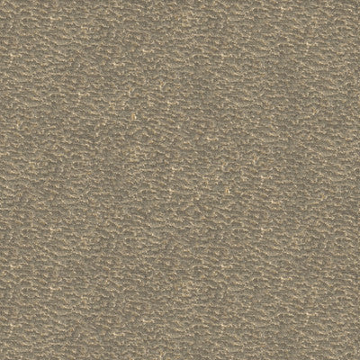 Turn Heads Truffle by Kravet Couture Fabric