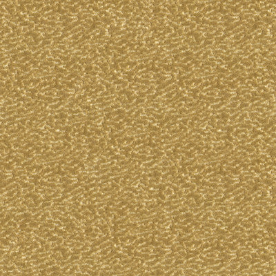 Turn Heads Vanilla by Kravet Couture Fabric