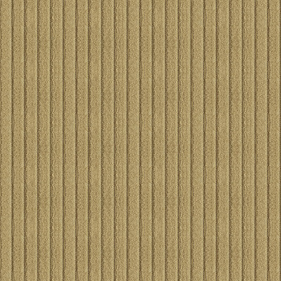 Loofah Stripe Dune by Kravet Design Fabric