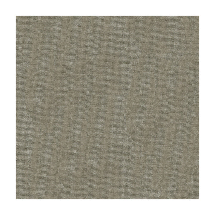 Aloft Velvet Gray Stone by Kravet Design Fabric WATERWORKS II COLLECTION SOLUTION DYED ACRYLIC - 80%;POLYESTER - 20% Italy HEAVY Horizontal: and Vertical: 56.5 - Fabric Carolina -