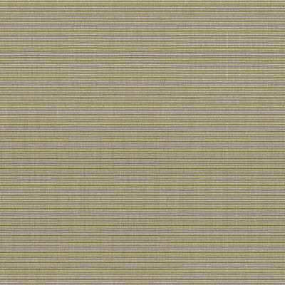Aport Coconut by Kravet Design Fabric