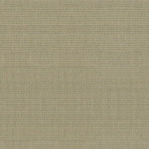 Aport Coconut by Kravet Design Fabric