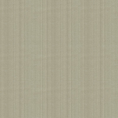 Starboard Gray Stone by Kravet Design Fabric