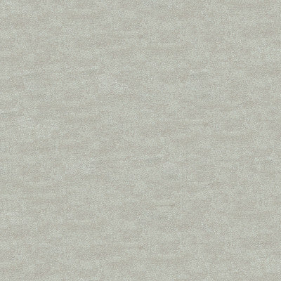 Metallic Velvet Platinum by Kravet Couture Fabric