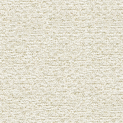 Love Me Champagne by Kravet Couture Fabric