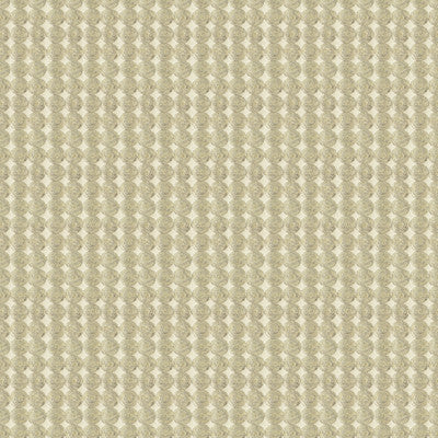 Rare Coin Platinum by Kravet Couture Fabric
