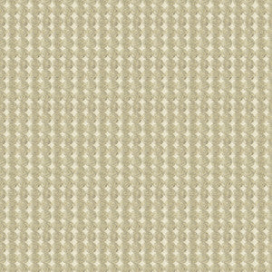 Rare Coin Platinum by Kravet Couture Fabric