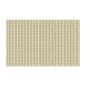 Rare Coin Platinum by Kravet Couture Fabric