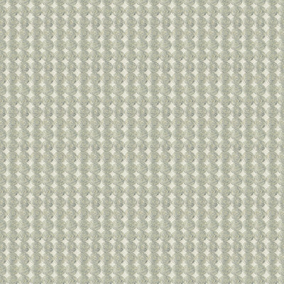 Rare Coin Sterling by Kravet Couture Fabric