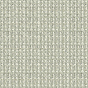 Rare Coin Sterling by Kravet Couture Fabric