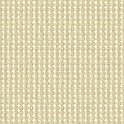 Rare Coin Silver Gold by Kravet Couture Fabric