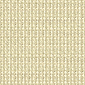 Rare Coin Silver Gold by Kravet Couture Fabric