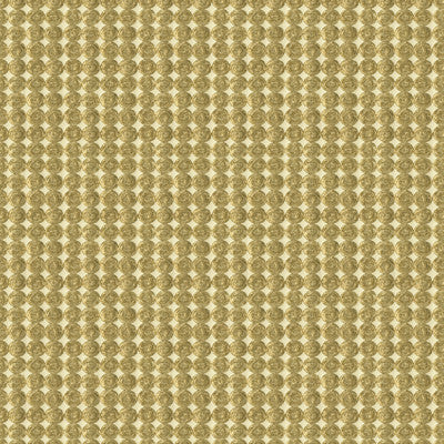 Rare Coin White Gold by Kravet Couture Fabric