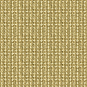 Rare Coin White Gold by Kravet Couture Fabric
