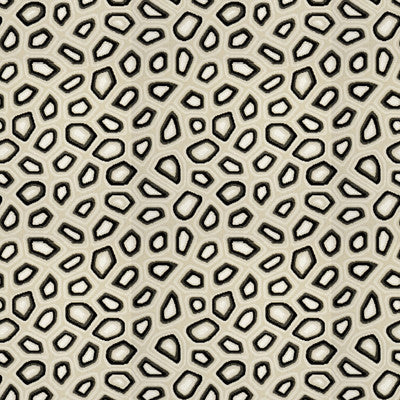 Chic Tortoise Anthracite by Kravet Couture Fabric
