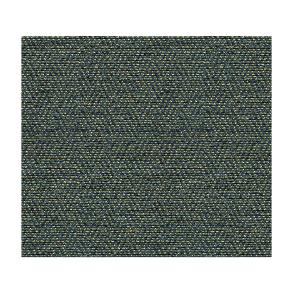 33580-5 by Kravet Smart Fabric POLYESTER - 100% China HEAVY Horizontal: 2 and Vertical: 55 - Fabric Carolina -