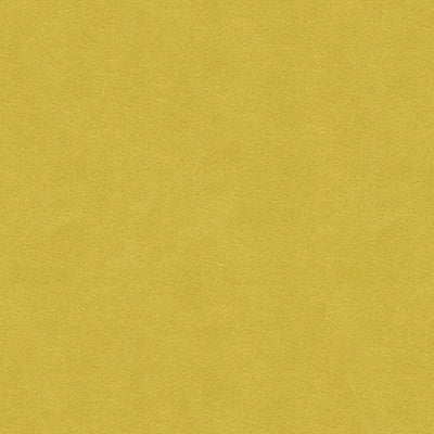 Leone Citron by Kravet Contract Fabric