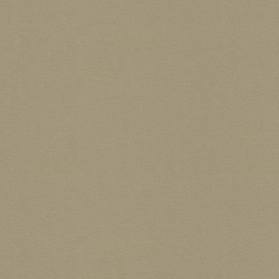 Leone Pebble by Kravet Contract Fabric