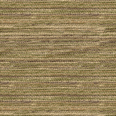 Earthen Grass by Kravet Couture Fabric